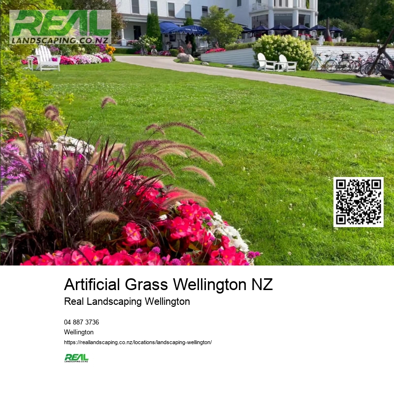 Artificial Grass Wellington NZ