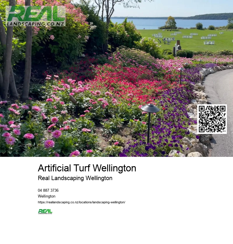 Artificial Turf Wellington