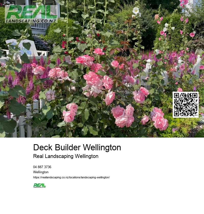 Deck Builder Wellington