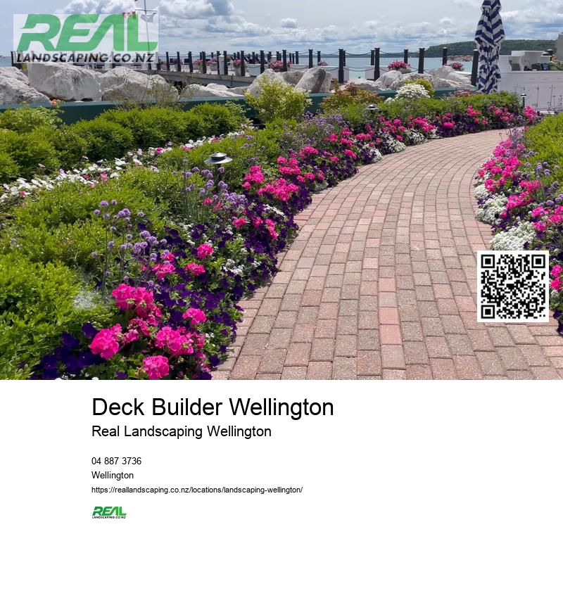 Landscape Gardener Wellington NZ