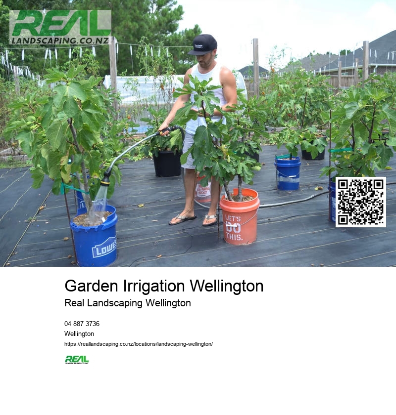 Gardening Services Wellington NZ