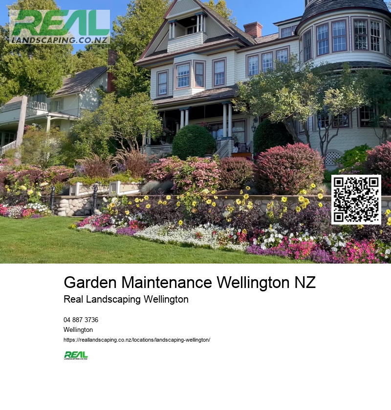 Garden Maintenance Wellington NZ