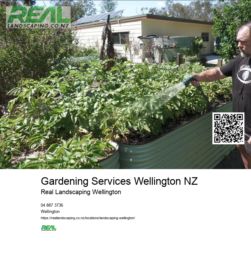 Landscape Architect Wellington NZ