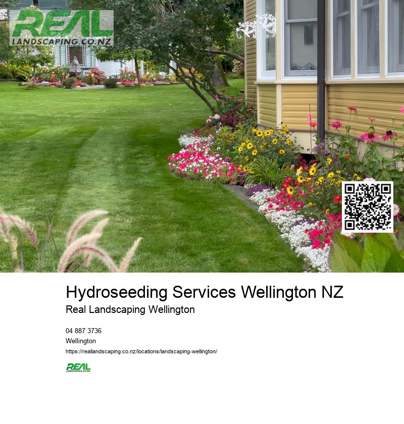 Hydroseeding Services Wellington NZ