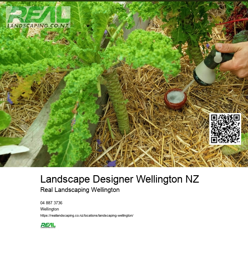 Wellington Flower Bed Design