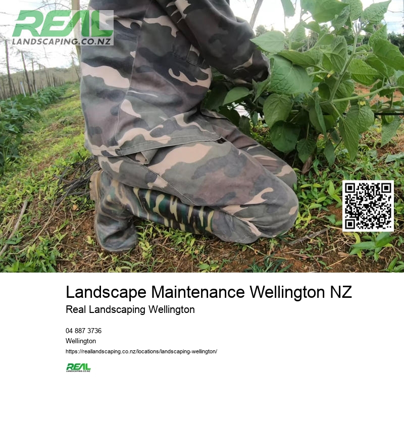 Garden Landscaping Wellington