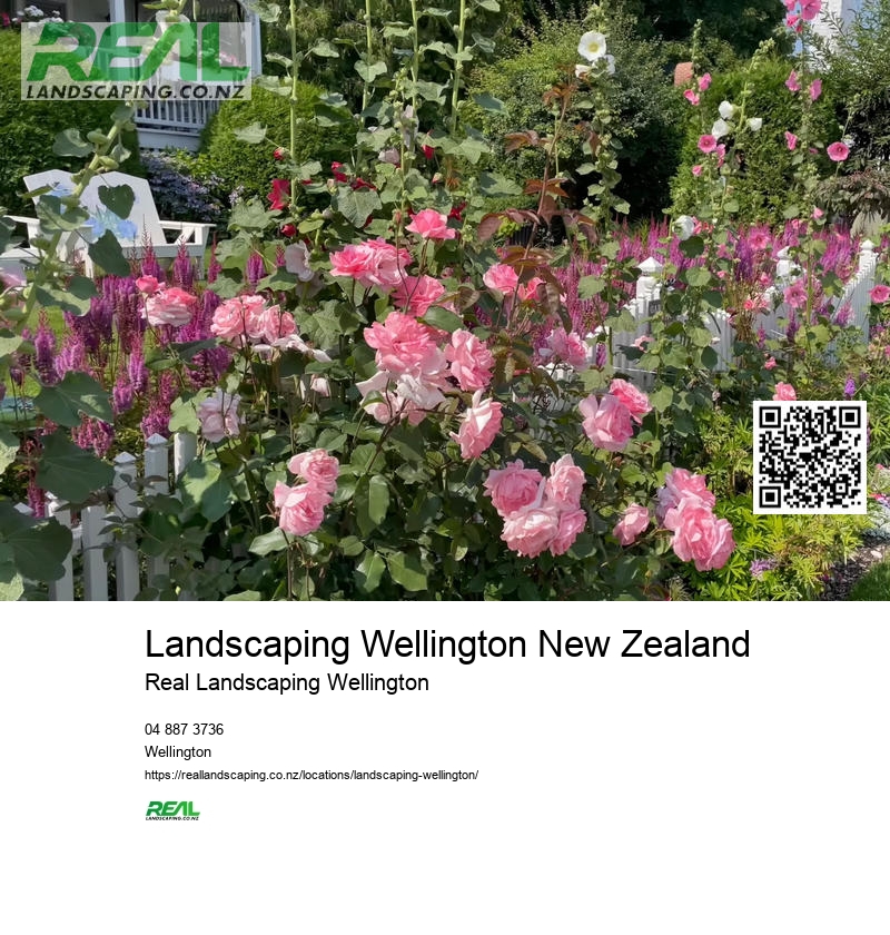 Landscaping Wellington New Zealand