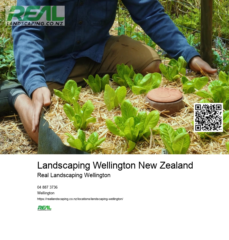 Lawn Care Wellington