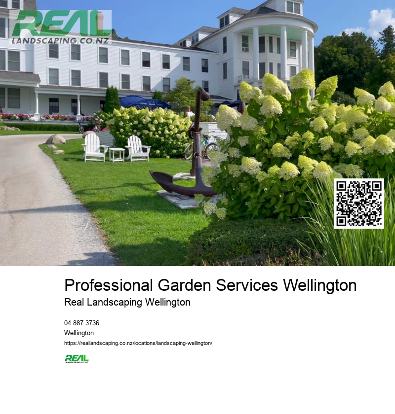 Deck Builders Wellington NZ