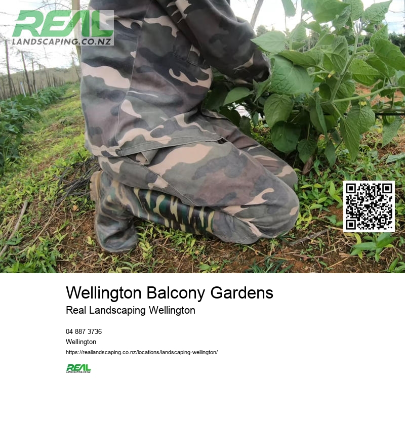 Landscape Design Wellington