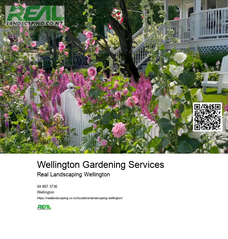 Wellington Small Garden Design