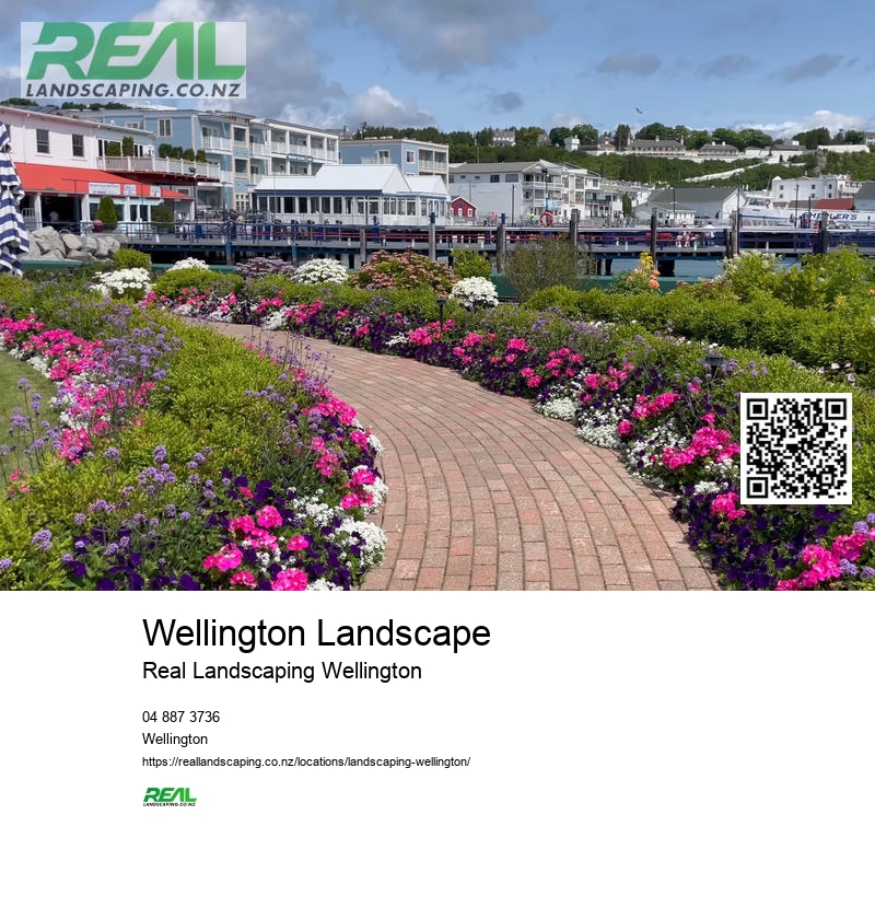 Landscape Gardener Wellington NZ