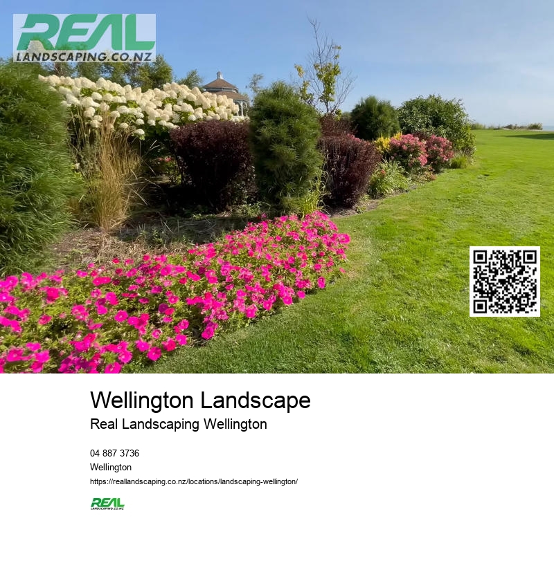 Wellington Lawn Maintenance