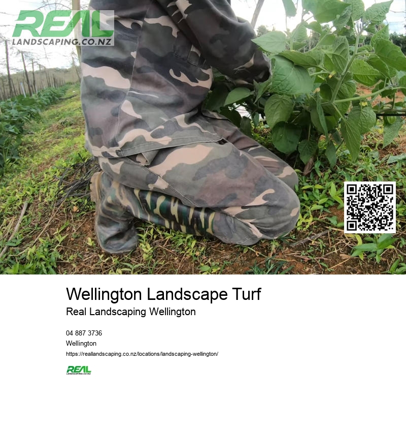 Wellington Arboriculture