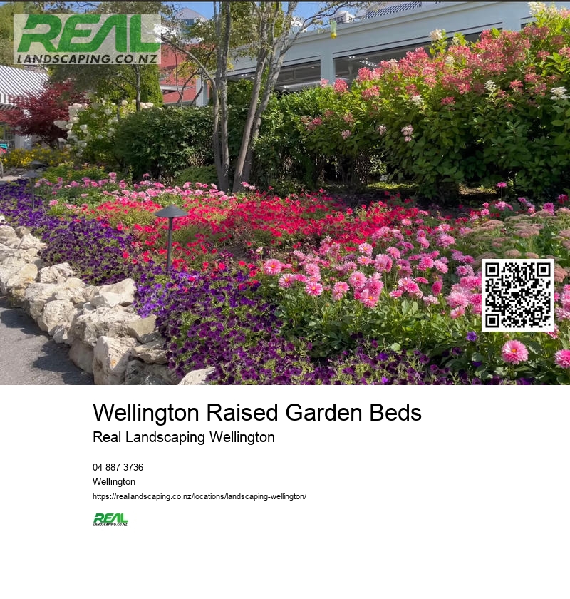 Landscape Architect Wellington NZ